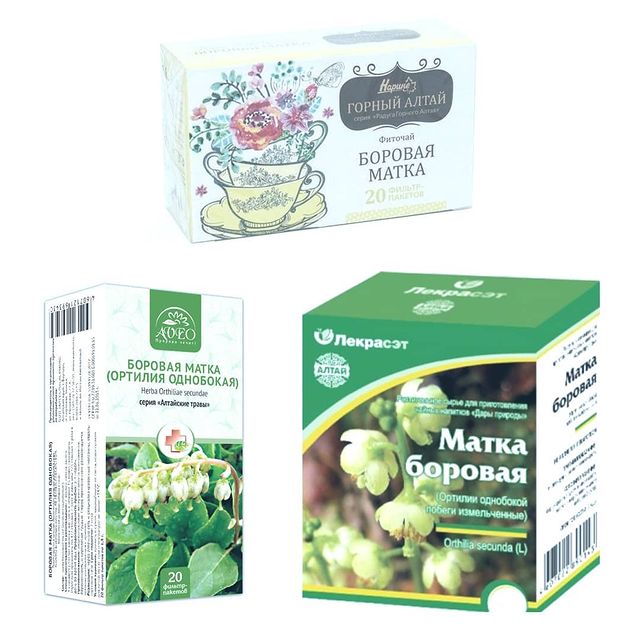 Боровая матка горного алтая. Боровая матка аналоги. Вита Боровая матка. Боровая матка наследие природы. Боровая матка гомеопатия.